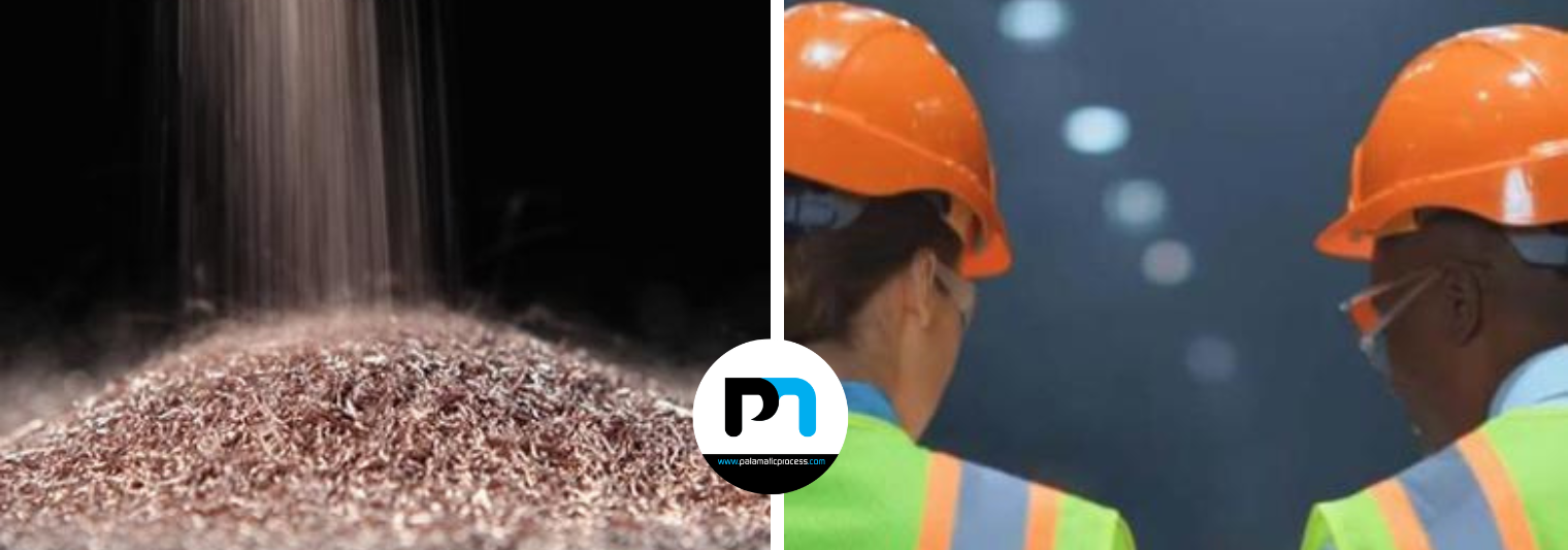 Magnetic Detection and Capture-ALL