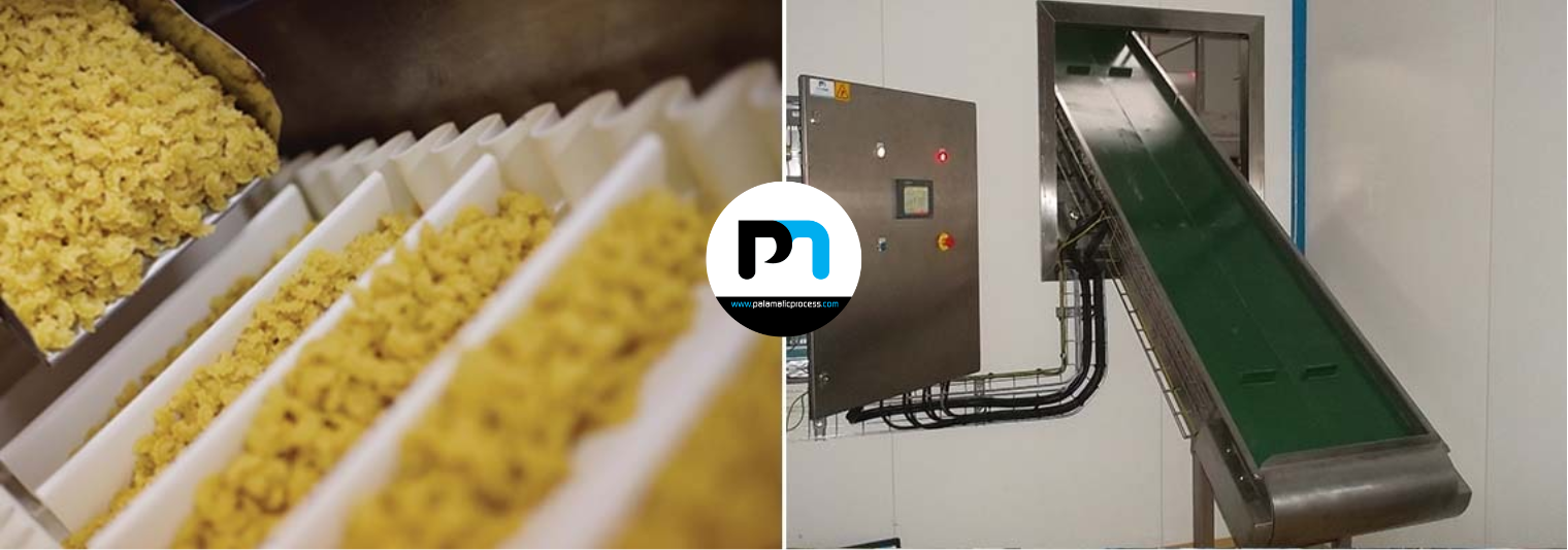 dried-fruit-conveyor_EN-OT