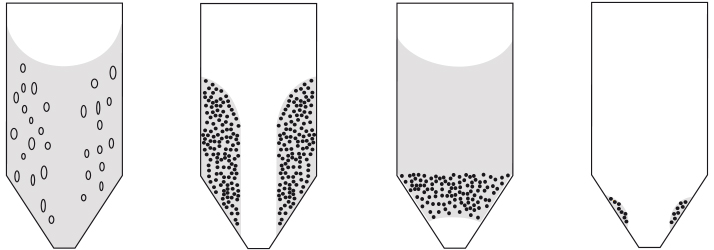 Dévoûteur à fond conique - Palamatic Process