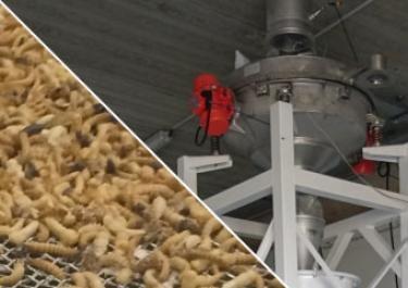 Processo para tratamento de frassas de insetos Processo para tratamento de frassas de insetos