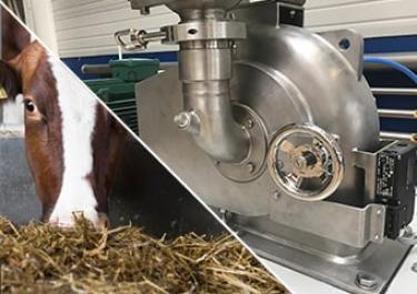 Lysine crushing mill food