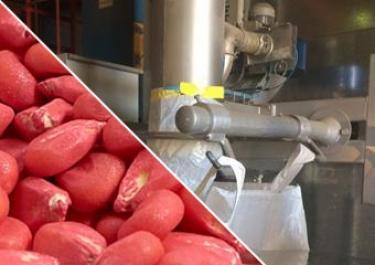 enchimento-big-bag-graos-milho.jpg Linha de acondicionamento de sementes