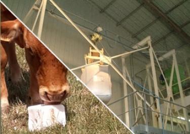 Discharging and conveying of feed additives