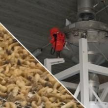 Processo para tratamento de frassas de insetos Processo para tratamento de frassas de insetos