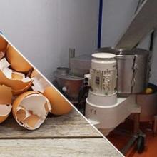 egg-process-industrial-line Egg process industrial line