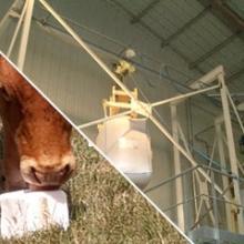 Discharging and conveying of feed additives